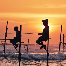 Sri Lanka stilt fishermen