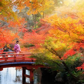 Fall foliage Japan gay tour