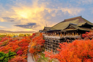 Japan autumn gay tour