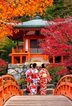 Japan Autumn Colors Gay Tour