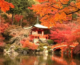 Kyoto Japan fall foliage gay tour