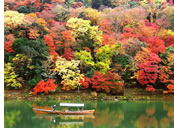 Kyoto autumn gay tour