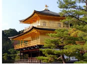 Japan gay tour - Kyoto Golden Pavillion