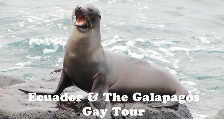 Ecuador & Galapagos Gay Tour