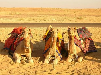 Egypt gay travel