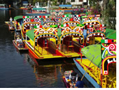 Mexico gay tour - Xochimilco Floating Gardens