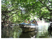 Madu River Boat Tour
