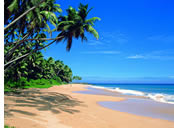 Sri Lanka gay tour - Negombo beach