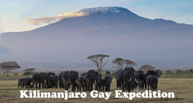 Kilimanjaro Gay Expedition