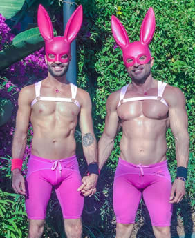 Gay Easter bunnies