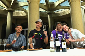Chile wine gay tour