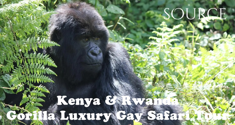 Kenya & Rwanda Gorilla Luxury Gay Safari Tour