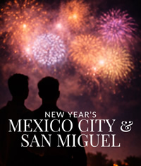 Mexico New Year Luxury Gay Tour