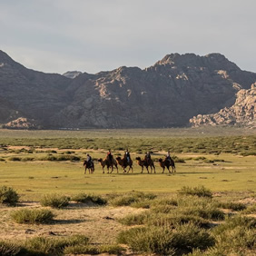 Bactrian camel ride