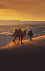 Gay Mongolia journey