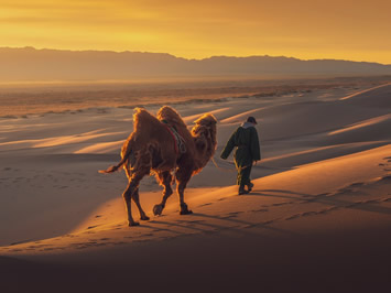 Gay Mongolia travel