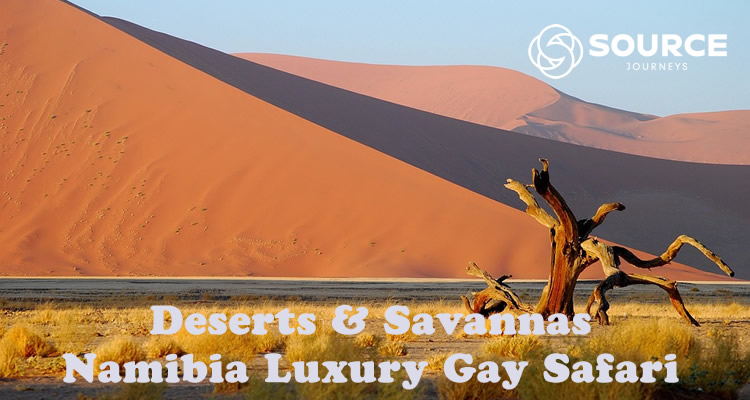 Namibia Luxury Gay Safari Tour