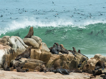 Skeleton Coast Namibia gay safari