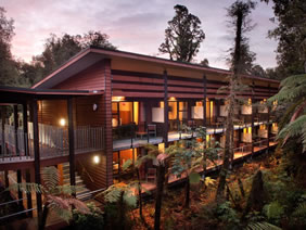 Te Waonui Forest Retreat