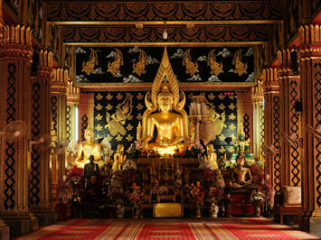 Chiang Mai elephant sanctuary gay tour