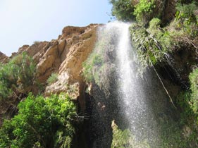 Steele Luxury Travel Milk and Honey - Israel and Tel Aviv Gay Pride Tour