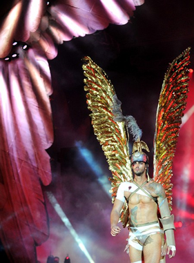 Steele Luxury Travel Life Ball Vienna Gay tour