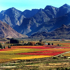 Steele Luxury Travel - South Africa Gay Tour