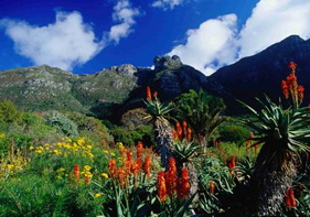 Steele Luxury Travel - South Africa Gay Tour