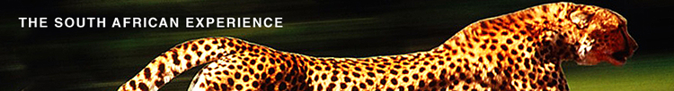 Steele Luxury Gay Travel - The South African Experience Tour