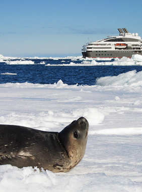 Gay Antarctica cruise