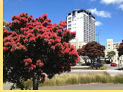 Bay Plaza Hotel, Wellington