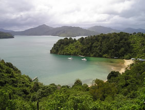 Bay of Islands, New Zealand gay tour