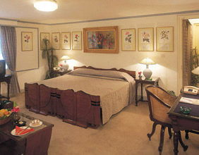 Karni Bhawan Palace Hotel room