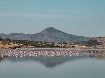Kenya lake