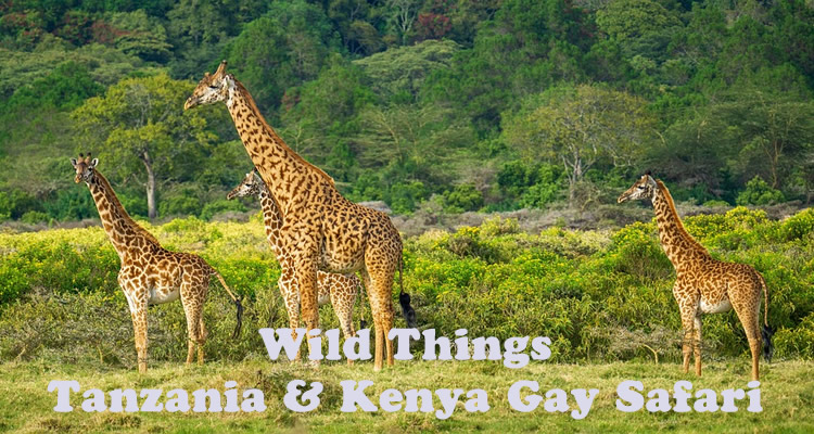 Tanzania & Kenya Gay Safari