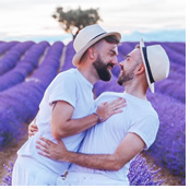 Gay Provence