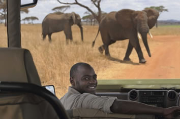 Gay Tanzania safari tour