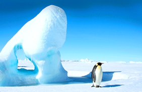 Yellow Brick Road Tours - Antarctica Gay Cruise
