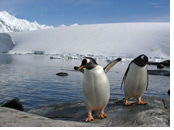 South Shetland Islands Gay Cruise