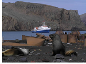 Antarctica Gay Cruise