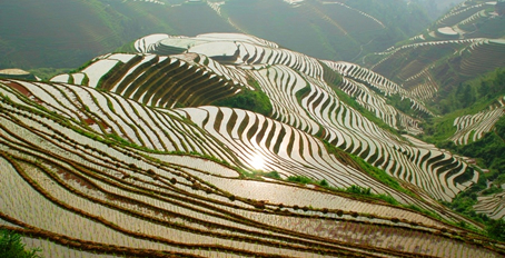 Yellow Brick Road Tours - China Gay Tour