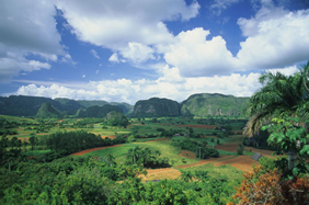 Yellow Brick Road Tours - Exclusively Gay Cuba Tour