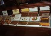Cuba Gay Tour - Partagas Cigar Factory