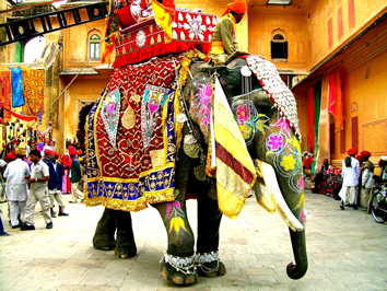 India Highlights Gay Tour