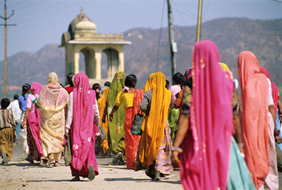 Yellow Brick Road Tours - Exclusively Gay India Tour