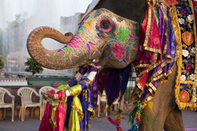 Exclusively Gay India Highlights Tour