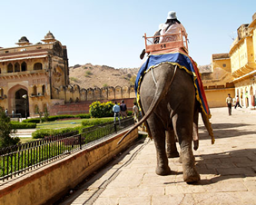 Yellow Brick Road Tours - Exclusively Gay India Tour
