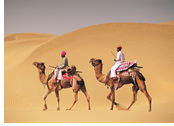 India Gay Tour - Jaisalmer Camel safari