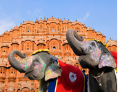 Rajasthan Gay Tour