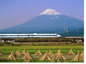 Japan Gay Tour